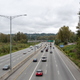 Illustration for article titled Pics from the Curbside: 2019-09-26 Around Deer Lake Park